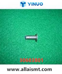 30603801 PIN