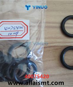 40075420 O_RING