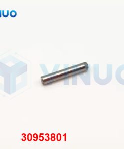 30953801 PIN