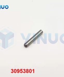 30953801 PIN