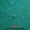 45383501 ROLLER Universal AI spare parts