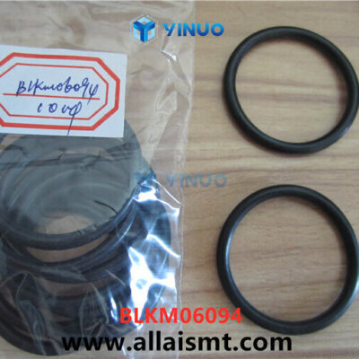 BLKM06094 O-RING Universal AI spare parts