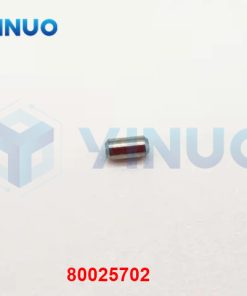 80025702 DP-PIC