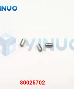 80025702 DP-PIC