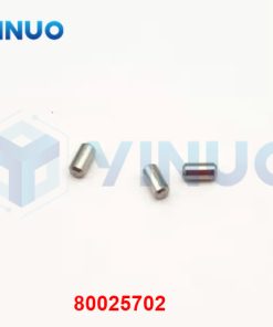 80025702 DP-PIC