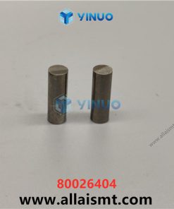 80026404 DP PIC