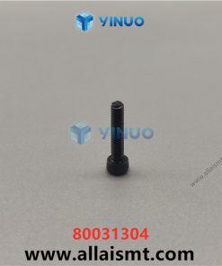 80031304 Screws