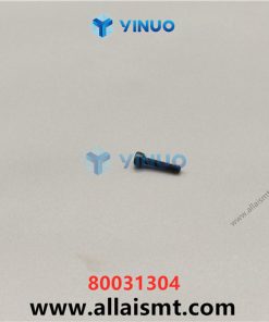 80031304 Screws