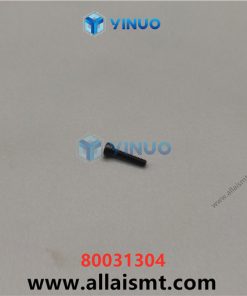 80031304 Screws