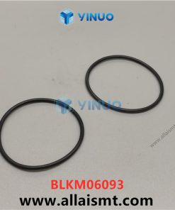 BLKM06093 O-RING