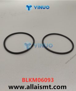 BLKM06093 O-RING