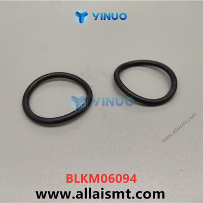 BLKM06094 O-RING