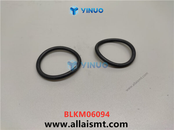 BLKM06094 O-RING