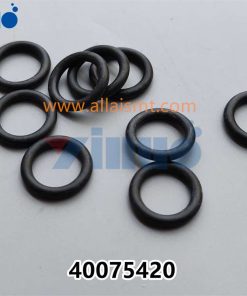 PN 40075420 O-RING - Image 3