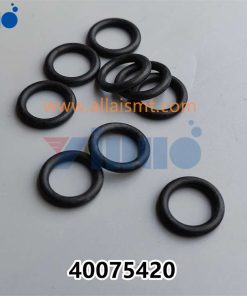 PN 40075420 O-RING - Image 4