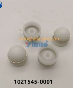 CAP 1021545-0001