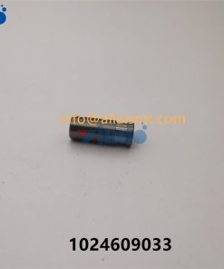 PIN 1024609033