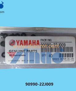 90990-22J009 PACKING