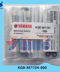 KGB-M715H-000 MAINTE PARTS