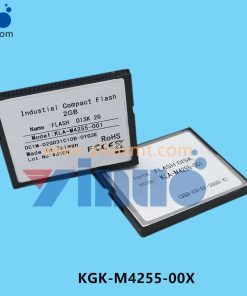 KGK-M4255-00X FLASH DISK