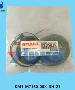 KM1-M7160-00X SH-21 SENSOR HEAD