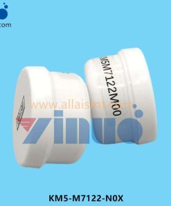 KM5-M7122-N0X Grease 6169 30g