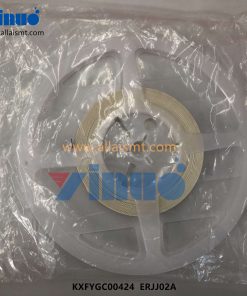 KXFYGC00424 ERJJ02A Dummy Chip