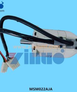 AC Servo Motor MSM022AJA