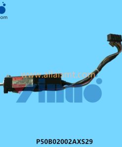 P50B02002AXS29 head Z-axis motor