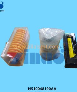 NPM W2 Grease 200g N510048190AA -