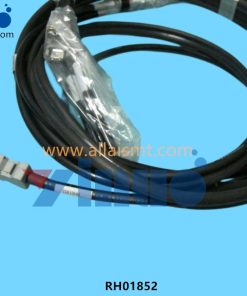 RH01852 Harness