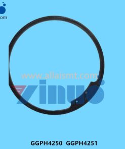 GGPH4250 GGPH4251 Ring