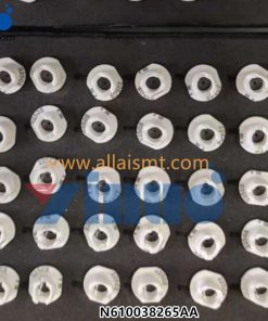 N610038265AA Nozzle 203ZS
