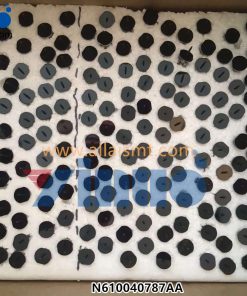 N610040787AA Nozzle 226CS