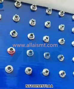 N610098973AA Nozzle 1005N