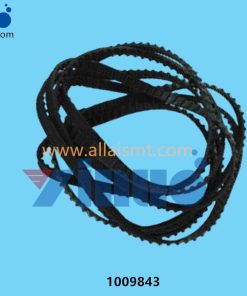 1009843 BELT TRANSPORT SINGLE RAIL MPM MOMENTUM