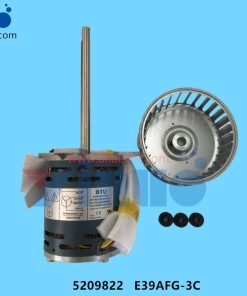 5209822 E39AFG-3C BTU HOT AIR MOTOR