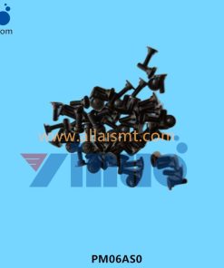 PM06AS0 PIN