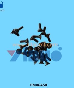 PM06AS0 PIN