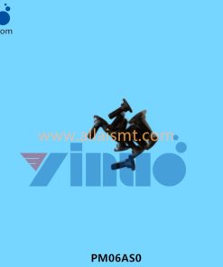 PM06AS0 PIN