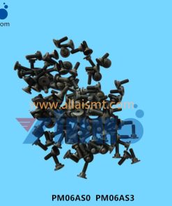 PM06AS0 PM06AS3 Feeder Screw