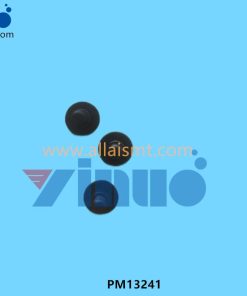 PM13241 BOLT