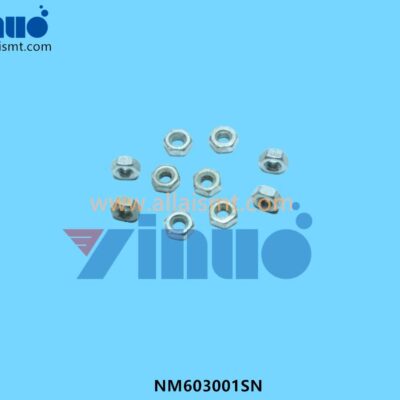 NM603001SN JUKI Feeder Screw Nut