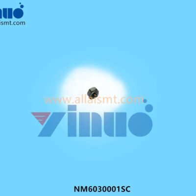 NM6030001SC JUKI Selected Feeder Screw Nut