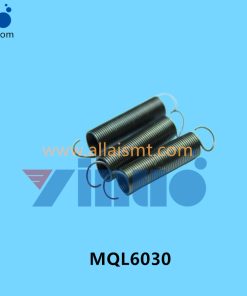 MQL6030 SPRING