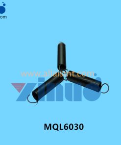 MQL6030 SPRING