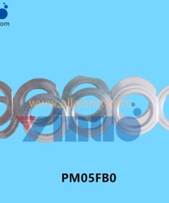PM05FB0 Steel Gasket
