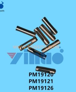 PM19120 PM19121 PM19126 NXT V12 PIN