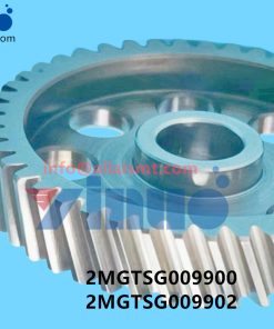 2MGTSG009900 2MGTSG009902 NXT GEAR