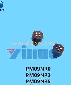PM09NR0 PM09NR3 PM09NR5 NXT V12 REFFERENCE PIN